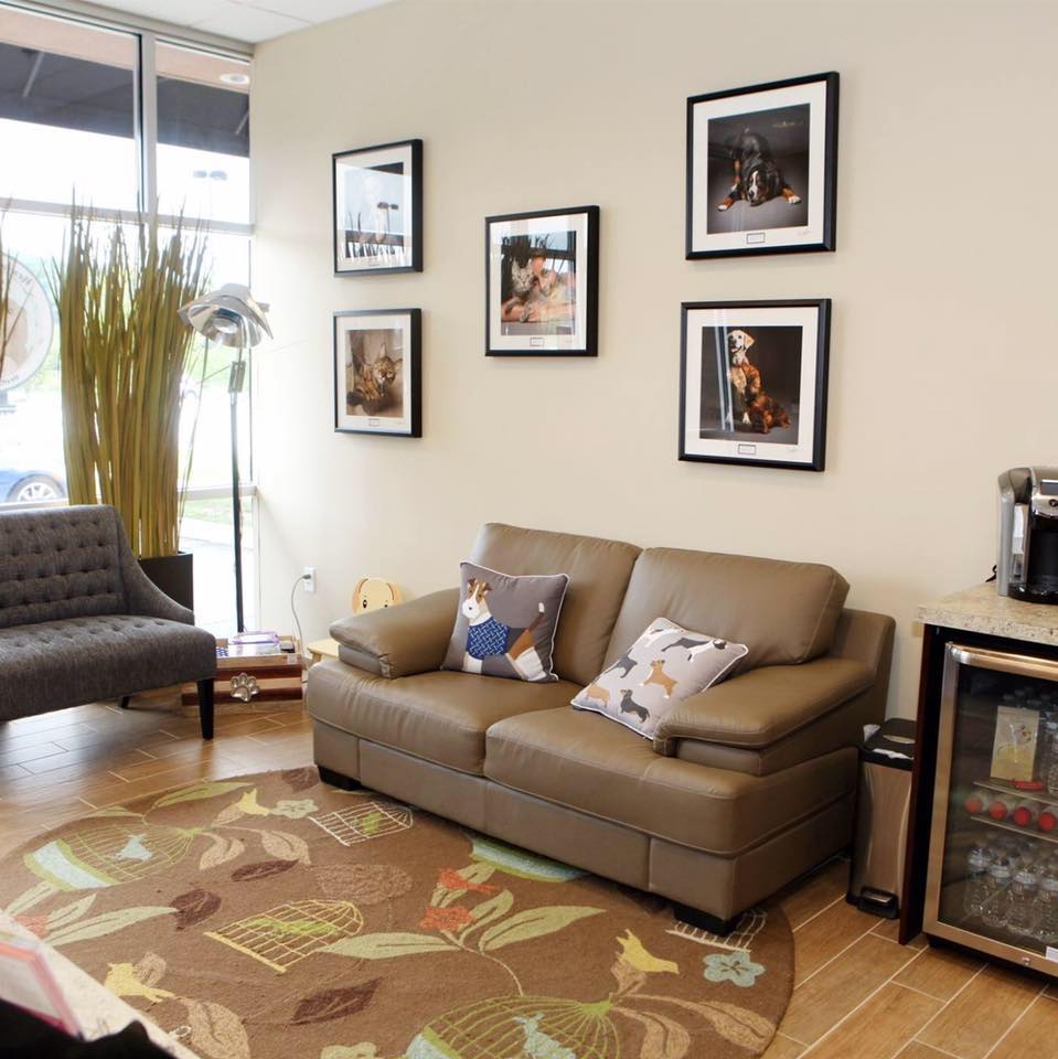 Newberry Animal Healthcare Center lounge with couch and picture frames of dogs