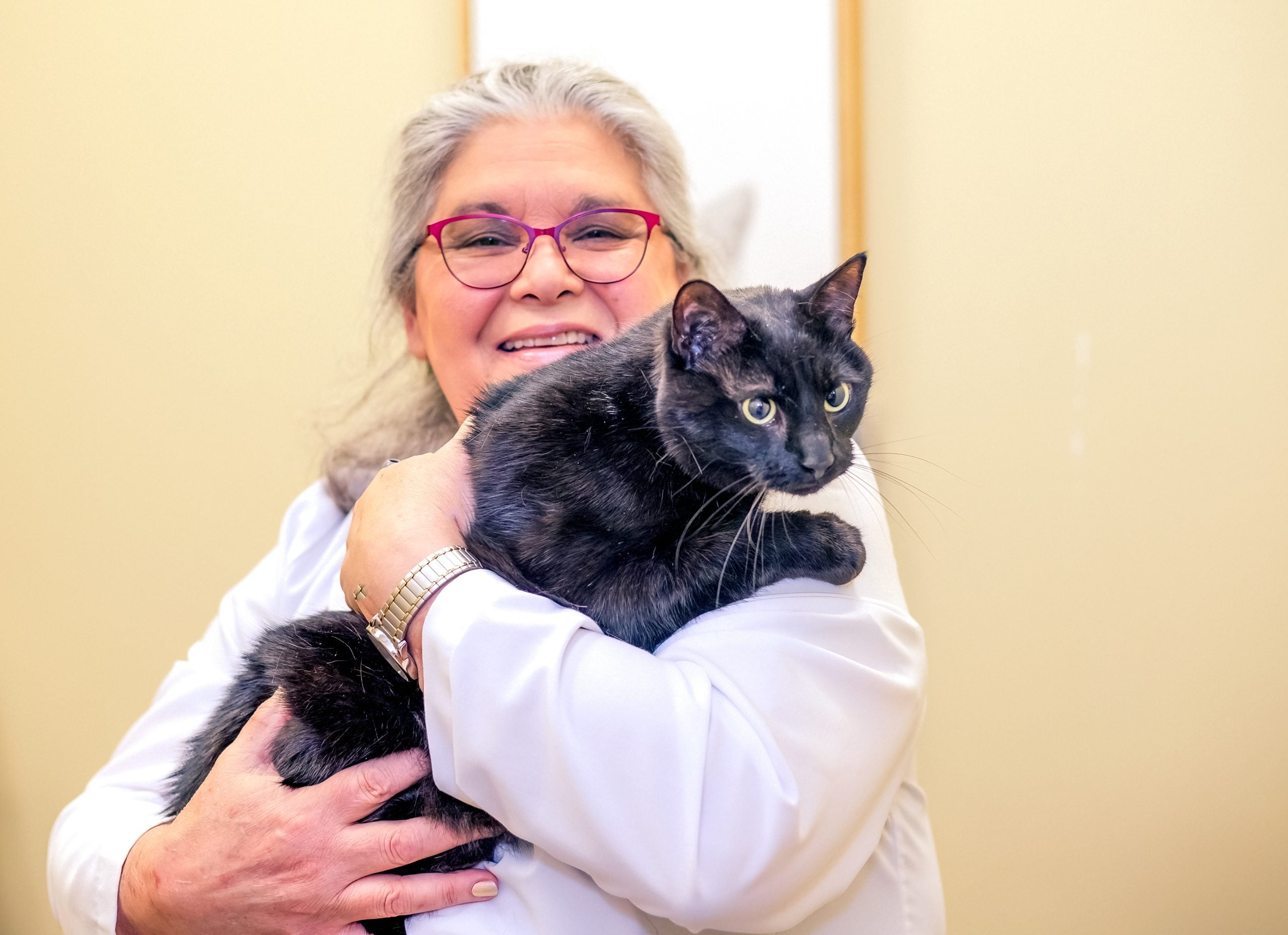 Vet Doctor holding cat in arms