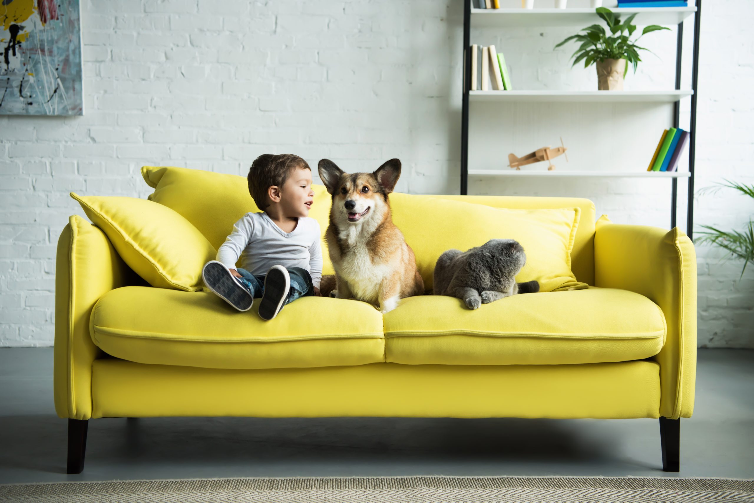 Child with Corgi dog sitting together on yellow couch