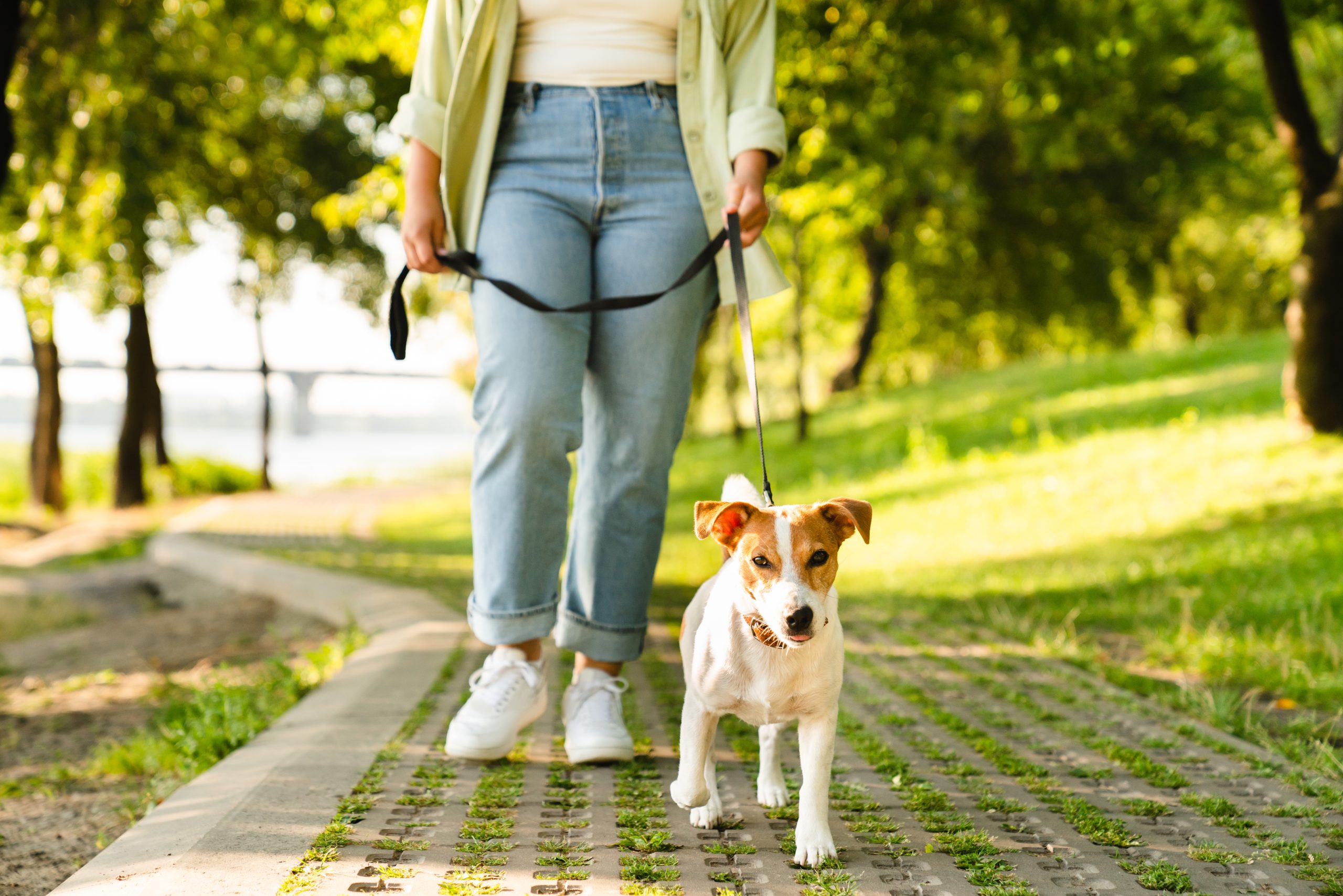 Pet owner walking her dog in city park