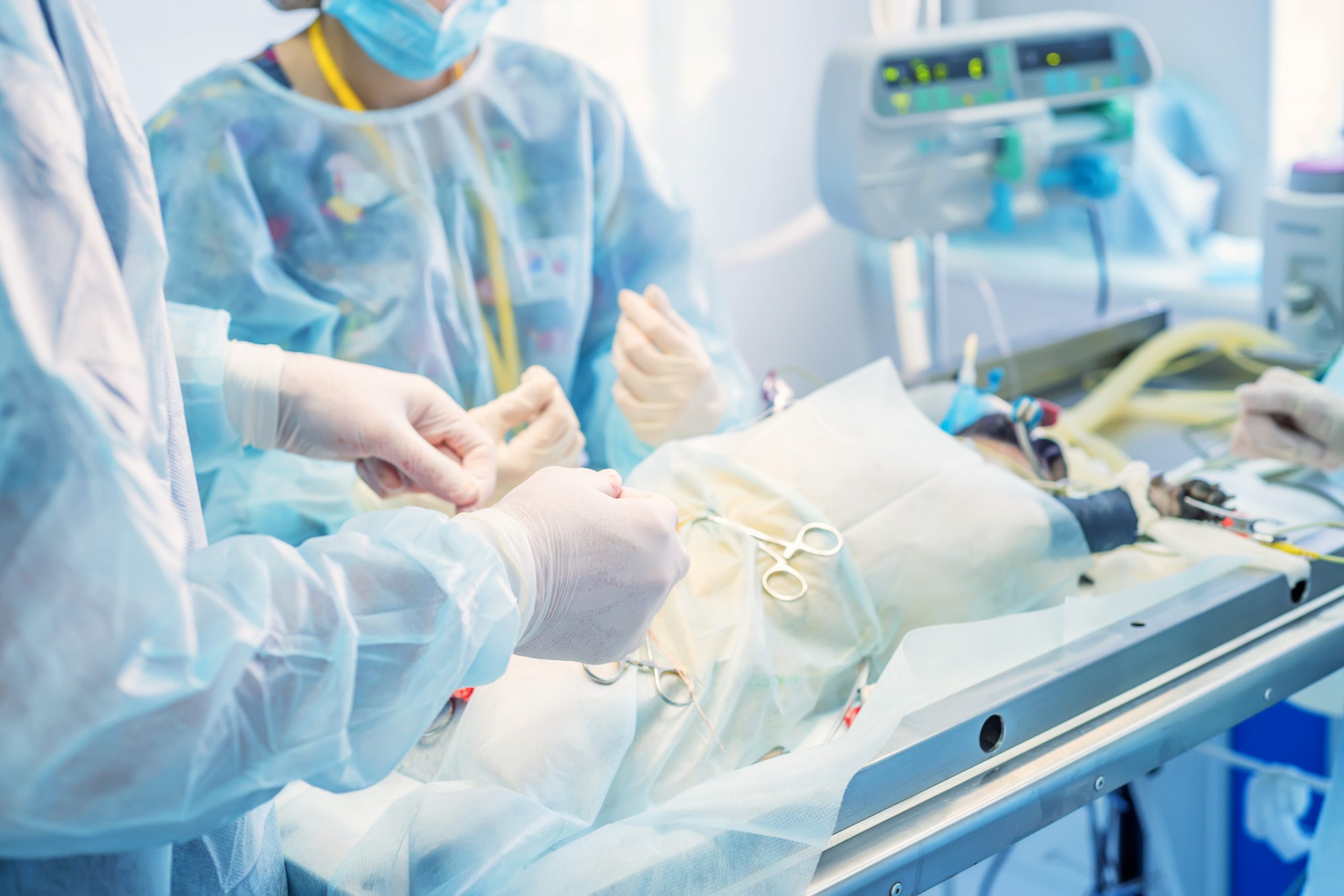 Vet conducts routine spaying operation in veterinary modern hospital