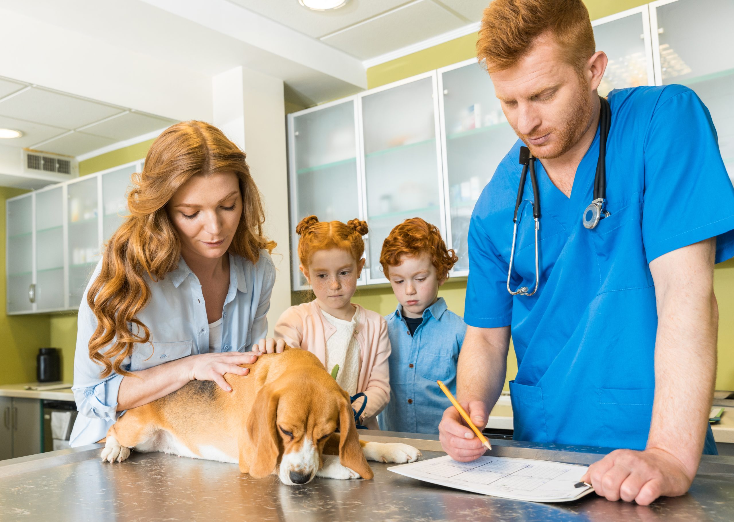 Woman and her children with their dog at veterinary doctor
